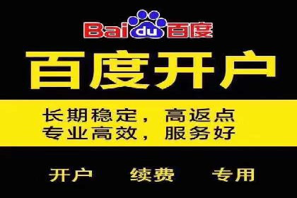 百度推广实战：案例分享与数据解读